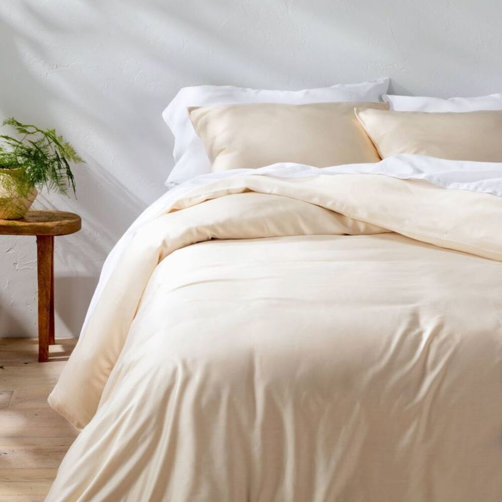 Full/Queen Rayon From Bamboo Duvet Set Natural -